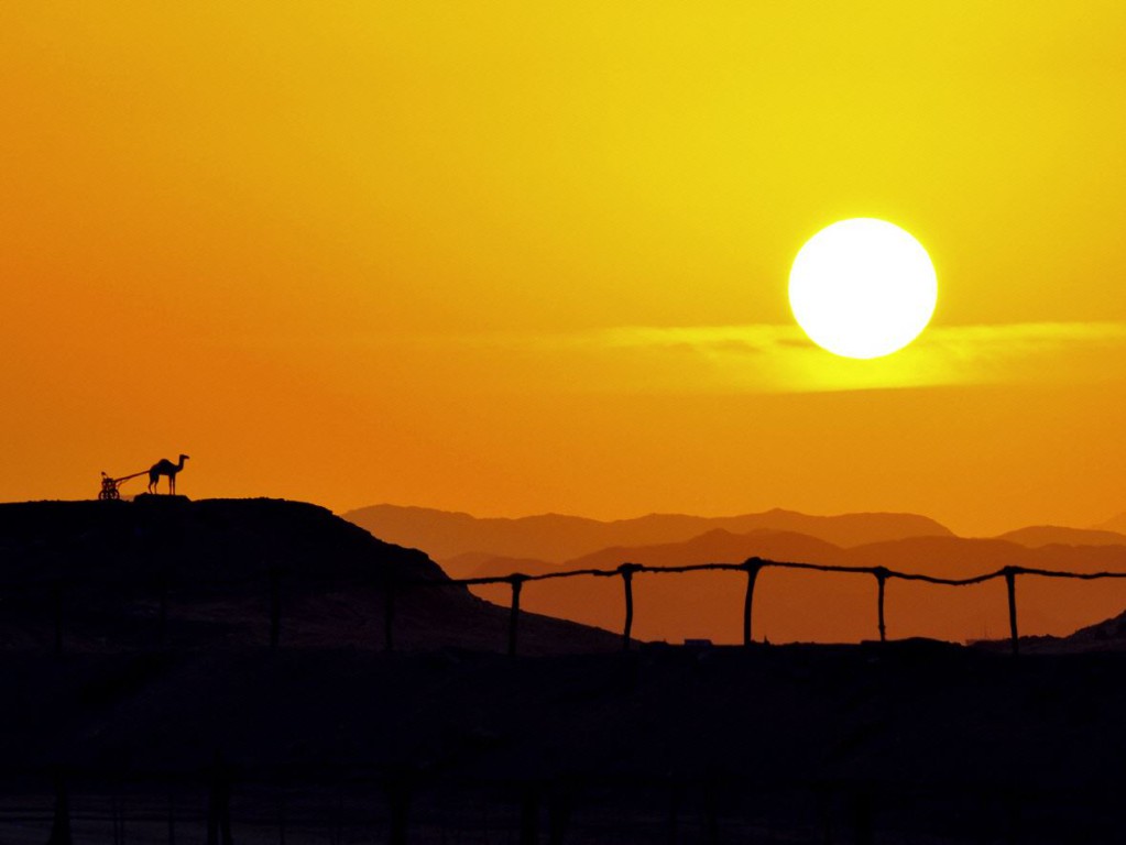 Eine Silhouette von Kamelen vor einem leuchtend orangefarbenen Sonnenuntergang über einer Hügellandschaft.