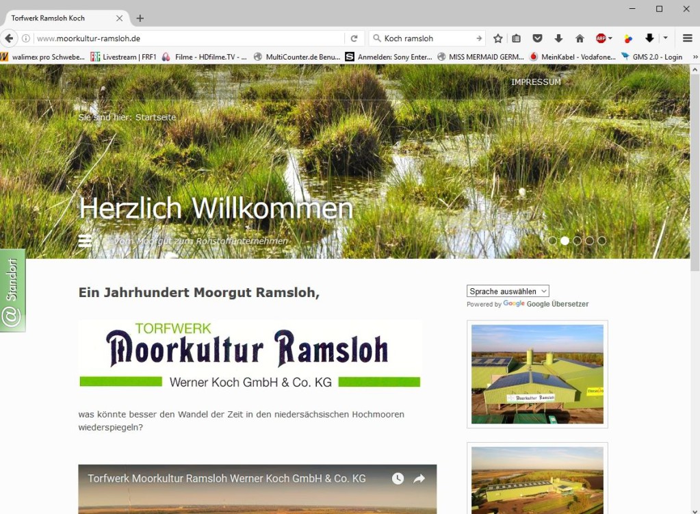 Der Screenshot einer Webseite, der eine üppige Moorlandschaft mit hohem Gras und Wasserflächen zeigt und Informationen über die Moorökologie von Ramsl