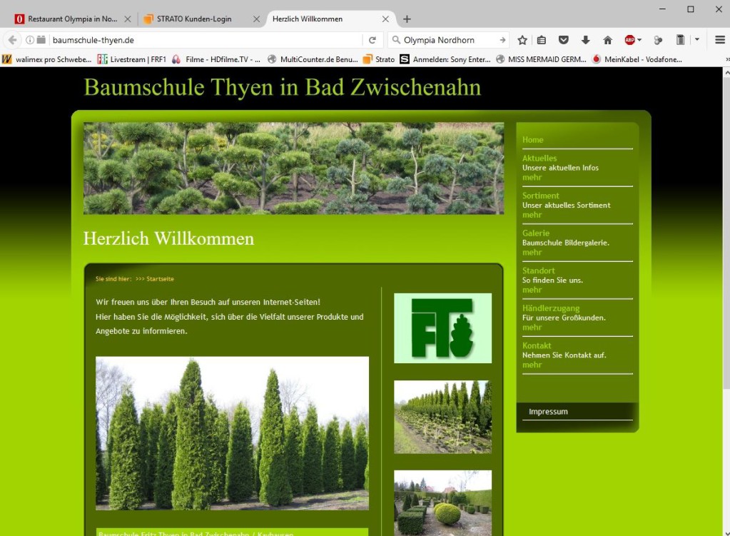Screenshot einer Website der Baumschule Thyen in Bad Zwischenahn, die das Sortiment von Nadelbäumen präsentiert.